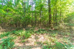 Whiskey Ridge Tract 108