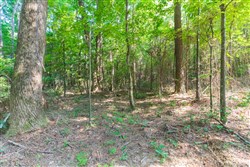 Whiskey Ridge Tract 108