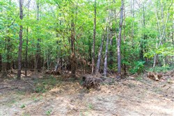 property photo for Whiskey Ridge Tract 109, 7.93 acres for sale in Henderson County, Tennessee