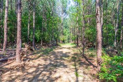property photo for Whiskey Ridge Tract 109, 7.93 acres for sale in Henderson County, Tennessee