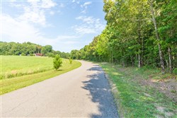 property photo for Whiskey Ridge Tract 109, 7.93 acres for sale in Henderson County, Tennessee