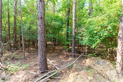 property photo for Whiskey Ridge Tract 109, 7.93 acres for sale in Henderson County, Tennessee