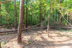 property photo for Whiskey Ridge Tract 109, 7.93 acres for sale in Henderson County, Tennessee