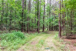 property photo for Whiskey Ridge Tract 11, 8.78 acres for sale in Henderson County, Tennessee