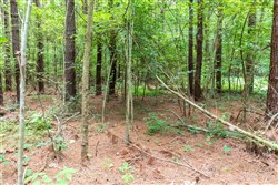 property photo for Whiskey Ridge Tract 11, 8.78 acres for sale in Henderson County, Tennessee
