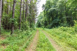property photo for Whiskey Ridge Tract 11, 8.78 acres for sale in Henderson County, Tennessee
