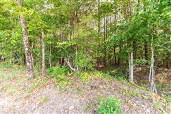 property photo for Whiskey Ridge Tract 110, 5.37 acres for sale in Henderson County, Tennessee