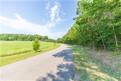 property photo for Whiskey Ridge Tract 110, 5.37 acres for sale in Henderson County, Tennessee