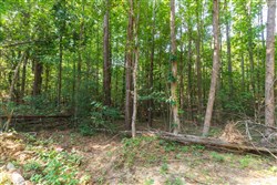 property photo for Whiskey Ridge Tract 110, 5.37 acres for sale in Henderson County, Tennessee