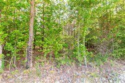 property photo for Whiskey Ridge Tract 110, 5.37 acres for sale in Henderson County, Tennessee
