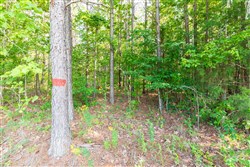 property photo for Whiskey Ridge Tract 110, 5.37 acres for sale in Henderson County, Tennessee