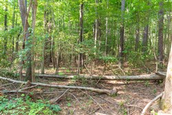 property photo for Whiskey Ridge Tract 111, 5.27 acres for sale in Henderson County, Tennessee