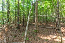 property photo for Whiskey Ridge Tract 111, 5.27 acres for sale in Henderson County, Tennessee