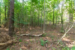property photo for Whiskey Ridge Tract 111, 5.27 acres for sale in Henderson County, Tennessee