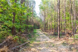 property photo for Whiskey Ridge Tract 111, 5.27 acres for sale in Henderson County, Tennessee