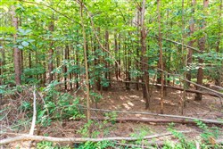 property photo for Whiskey Ridge Tract 111, 5.27 acres for sale in Henderson County, Tennessee