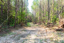 property photo for Whiskey Ridge Tract 112, 15.32 acres for sale in Henderson County, Tennessee