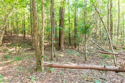 property photo for Whiskey Ridge Tract 112, 15.32 acres for sale in Henderson County, Tennessee