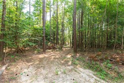 property photo for Whiskey Ridge Tract 112, 15.32 acres for sale in Henderson County, Tennessee
