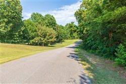 property photo for Whiskey Ridge Tract 113, 6.31 acres for sale in Henderson County, Tennessee