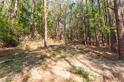 property photo for Whiskey Ridge Tract 113, 6.31 acres for sale in Henderson County, Tennessee