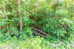 property photo for Whiskey Ridge Tract 113, 6.31 acres for sale in Henderson County, Tennessee
