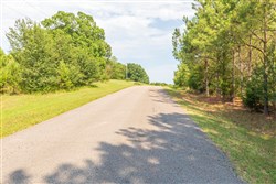 property photo for Whiskey Ridge Tract 114, 5.75 acres for sale in Henderson County, Tennessee