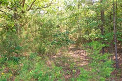 property photo for Whiskey Ridge Tract 114, 5.75 acres for sale in Henderson County, Tennessee