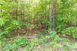 property photo for Whiskey Ridge Tract 114, 5.75 acres for sale in Henderson County, Tennessee