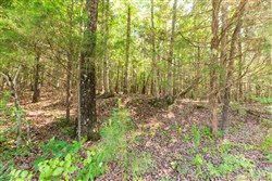 property photo for Whiskey Ridge Tract 114, 5.75 acres for sale in Henderson County, Tennessee