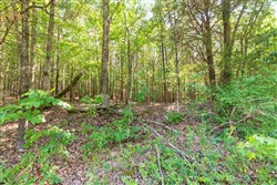 property photo for Whiskey Ridge Tract 114, 5.75 acres for sale in Henderson County, Tennessee