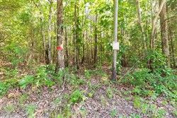 property photo for Whiskey Ridge Tract 114, 5.75 acres for sale in Henderson County, Tennessee