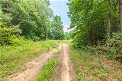 property photo for Whiskey Ridge Tract 12, 5.53 acres for sale in Henderson County, Tennessee