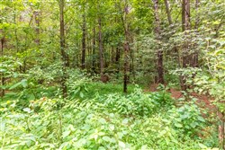 property photo for Whiskey Ridge Tract 12, 5.53 acres for sale in Henderson County, Tennessee
