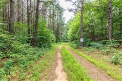 property photo for Whiskey Ridge Tract 12, 5.53 acres for sale in Henderson County, Tennessee