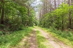 property photo for Whiskey Ridge Tract 13, 7.09 acres for sale in Henderson County, Tennessee