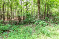property photo for Whiskey Ridge Tract 13, 7.09 acres for sale in Henderson County, Tennessee