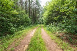property photo for Whiskey Ridge Tract 13, 7.09 acres for sale in Henderson County, Tennessee