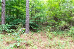 property photo for Whiskey Ridge Tract 13, 7.09 acres for sale in Henderson County, Tennessee