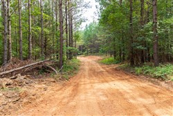 property photo for Whiskey Ridge Tract 14, 6.94 acres for sale in Henderson County, Tennessee