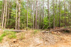 property photo for Whiskey Ridge Tract 14, 6.94 acres for sale in Henderson County, Tennessee