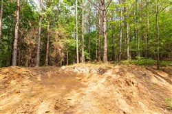 property photo for Whiskey Ridge Tract 14, 6.94 acres for sale in Henderson County, Tennessee
