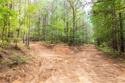 property photo for Whiskey Ridge Tract 14, 6.94 acres for sale in Henderson County, Tennessee