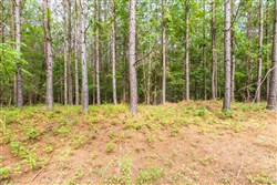 property photo for Whiskey Ridge Tract 14, 6.94 acres for sale in Henderson County, Tennessee