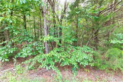property photo for Whiskey Ridge Tract 15, 7.29 acres for sale in Henderson County, Tennessee