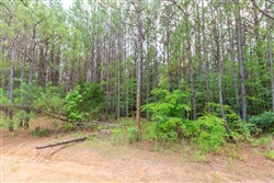 property photo for Whiskey Ridge Tract 15, 7.29 acres for sale in Henderson County, Tennessee