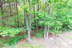property photo for Whiskey Ridge Tract 15, 7.29 acres for sale in Henderson County, Tennessee