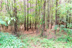 property photo for Whiskey Ridge Tract 15, 7.29 acres for sale in Henderson County, Tennessee