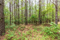 property photo for Whiskey Ridge Tract 16, 6.59 acres for sale in Henderson County, Tennessee