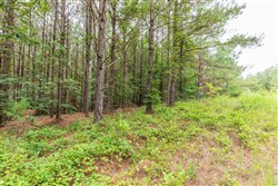 property photo for Whiskey Ridge Tract 16, 6.59 acres for sale in Henderson County, Tennessee